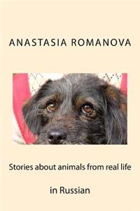 Stories about Animals from Real Life