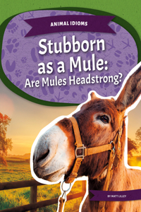 Stubborn as a Mule: Are Mules Headstrong?