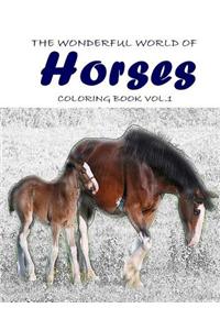 The Wonderful World of Horses