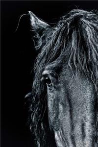 Black Stallion Horse Journal