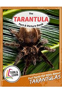 The Tarantula Fact and Picture Book: Fun Facts for Kids About Tarantulas (Turn and Learn)