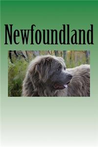 Newfoundland