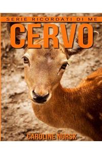 Cervo