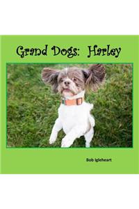 Grand Dogs