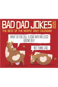 BAD DAD JOKES 2020 BOX CALENDAR