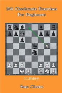 250 Checkmate Exercises For Beginners