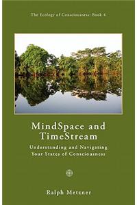 Mind Space and Time Stream: Understanding and Navigating Your States of Consciousness