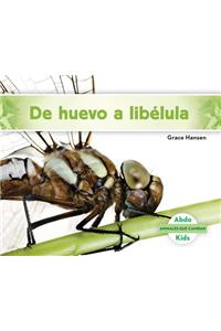de Huevo a Libelula (Becoming a Dragonfly)