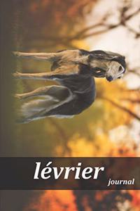 lévrier journal