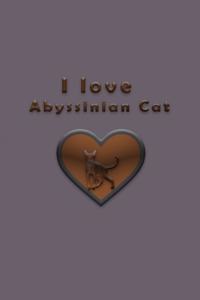 I love Abyssinian Cat