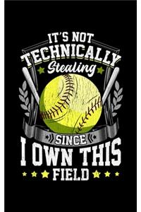 It's Not Technically Stealing Since I Own This Field
