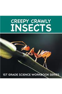Creepy Crawly Insects