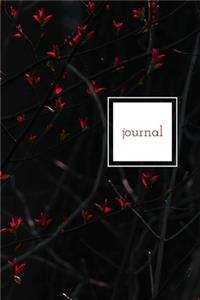 Journal