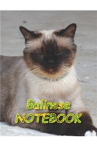 Balinese NOTEBOOK