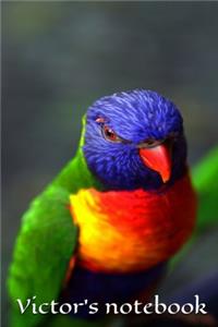 Victor's notebook, journal, size 6x9