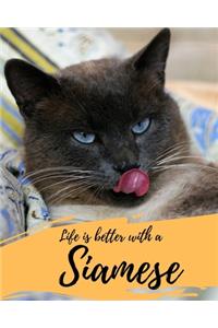 Life is Better with a Siamese