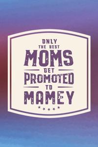 Only The Best Moms Get Promoted To Mamey