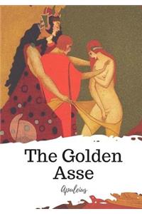 Golden Asse