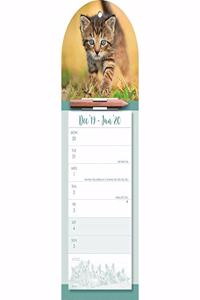 KITTENS WTV MAGNETIC 2020