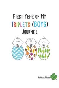First Year of My Triplets Journal (Boys)