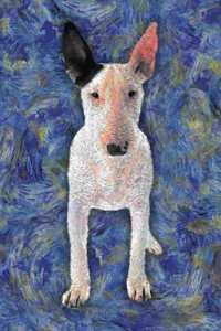 Bull Terrier