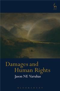 Damages and Human Rights