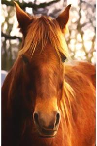 Journal Notebook For Horse Lovers - Chestnut Beauty