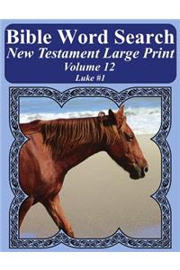 Bible Word Search New Testament Large Print Volume 12