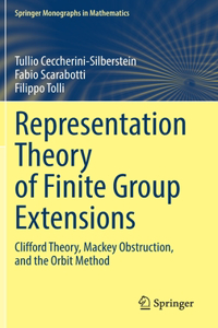 Representation Theory of Finite Group Extensions