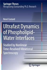 Ultrafast Dynamics of Phospholipid-Water Interfaces