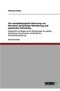 sozialpädagogische Betreuung von Menschen mit geistiger Behinderung und psychischer Erkrankung