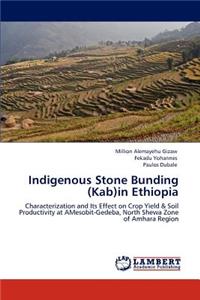 Indigenous Stone Bunding (Kab)in Ethiopia