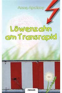 L Wenzahn Am Transrapid