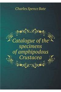 Catalogue of the Specimens of Amphipodous Crustacea