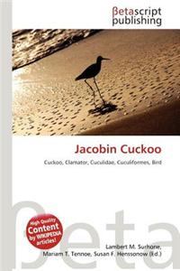 Jacobin Cuckoo