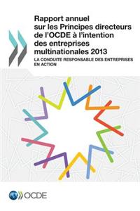 Rapport Annuel Sur Les Principes Directeurs de L'Ocde A L'Intention Des Entreprises Multinationales 2013