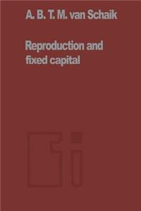 Reproduction and Fixed Capital