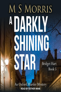 Darkly Shining Star Lib/E