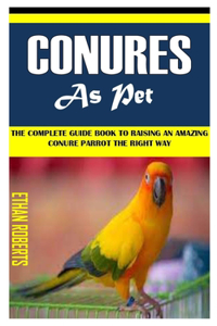 Conures as Pet