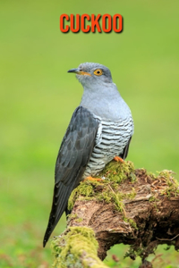 Cuckoo