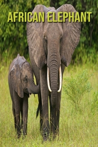 African Elephant: Children's Books --- Fascinating African Elephant Facts for Kids with Stunning Pictures!