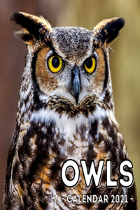Owls Calendar 2021