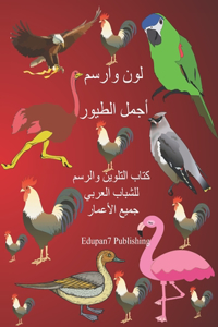 لون وارسم أجمل الطيور