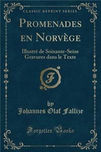 Promenades En Norvï¿½ge: Illustrï¿½ de Soixante-Seize Gravures Dans Le Texte (Classic Reprint)