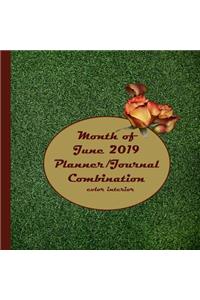 Month of June 2019 Planner/Journal Combination