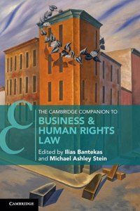 Cambridge Companion to Business & Human Rights Law