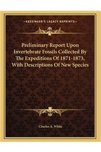 Preliminary Report Upon Invertebrate Fossils Collected By The Expeditions Of 1871-1873, With Descriptions Of New Species