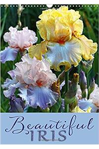 Beautiful Iris 2017