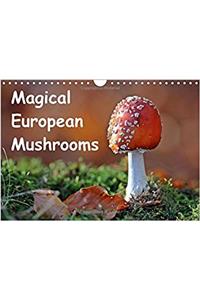 Magical European Mushrooms 2018