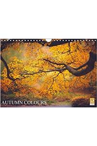 Autumn Colours 2018